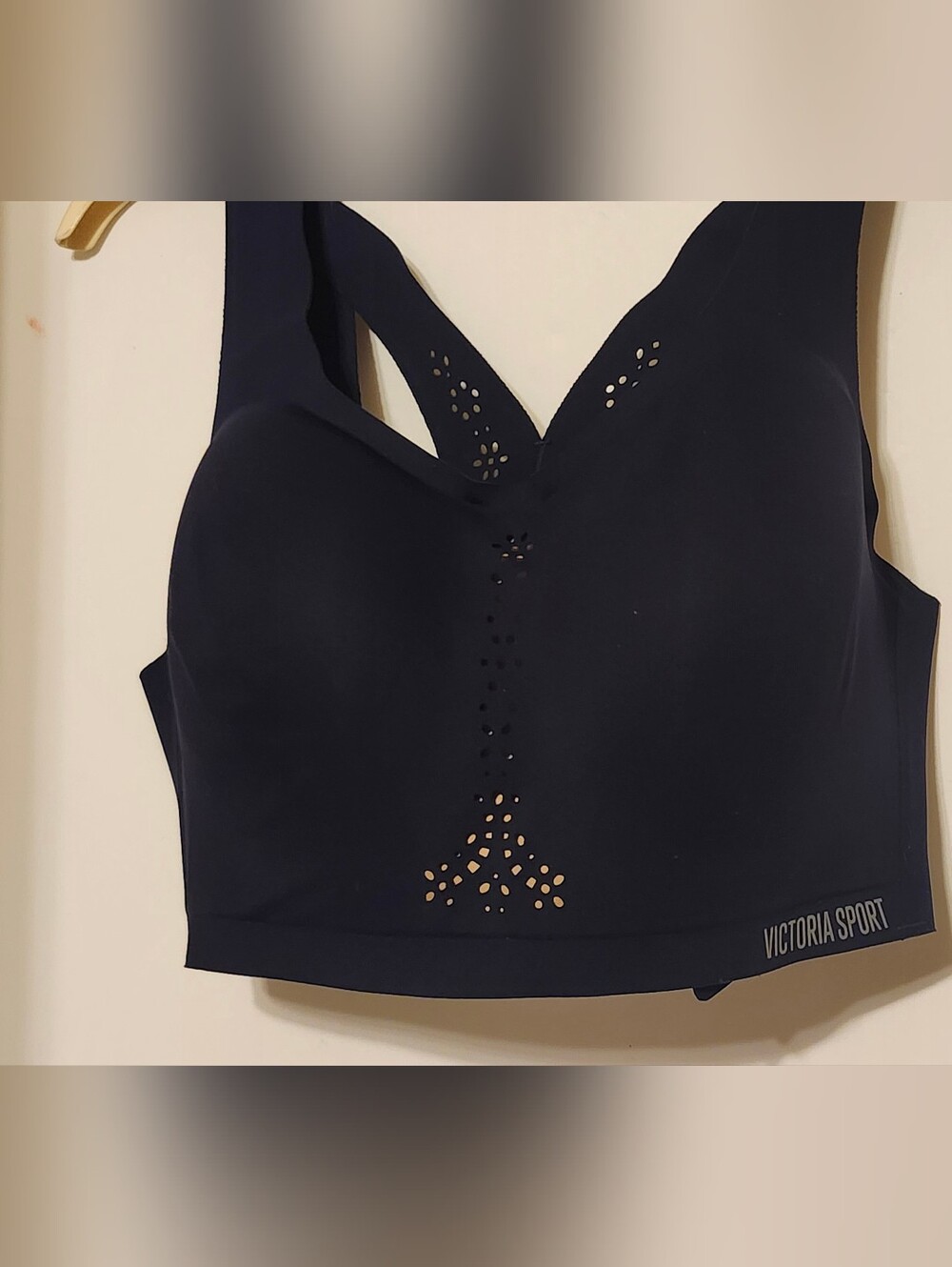 Blue Seamless Laser-Cut Vuctoria Sports Bra